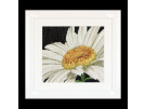borduurpakket margriet close-up