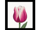 borduurpakket tulp-4