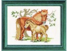 borduurpakket paard met veulen