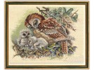 borduurpakket familie uil