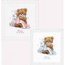 borduurpakket geboorte mateo/sylvia (incl. blauw/rose garen)