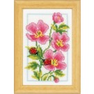 borduurpakket rose geraniums met lieveheersbeestjes