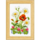 borduurpakket margrieten met klaproos