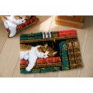 knoopkleed poes in de boekenkast