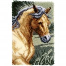knoopkleed paard in draf