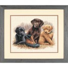 borduurpakket labradorpups met schoen